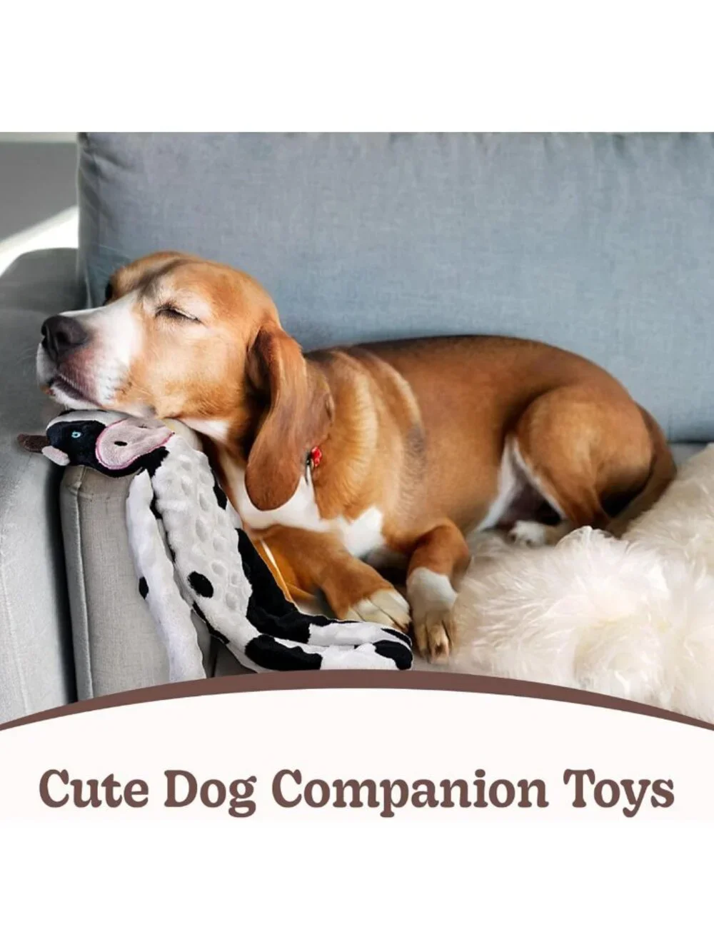 Interactive Crinkle Dog Toys 5 Pack - No Stuffing, Squeaky & Teething Fun!